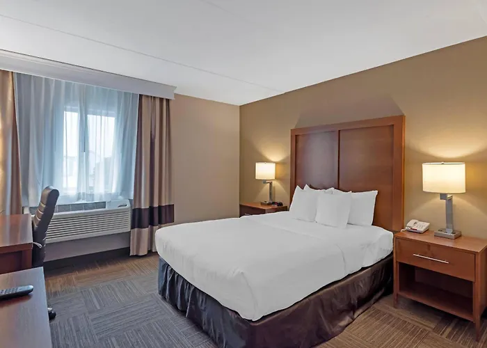 Comfort Inn Bangor North